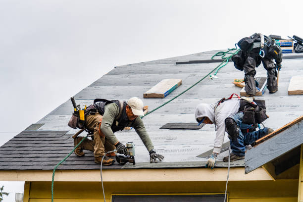 Professional Gutter Installation technician working in Hanley Falls, MN